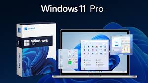 Windows 11 Pro (Vĩnh viễn)