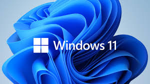 Windows 11 Pro (Vĩnh viễn)
