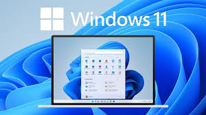 Windows 11 Pro (Vĩnh viễn)